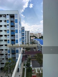Blk 213 Tampines Street 23 (Tampines), HDB 3 Rooms #241645041